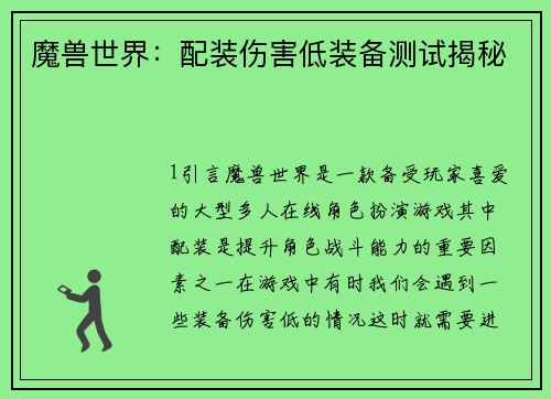 魔兽世界：配装伤害低装备测试揭秘